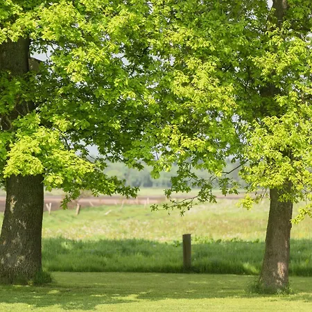 Waldblick, 35209