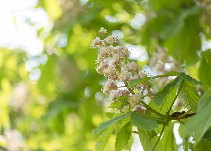 Waldblick, 35209 Дом отдыха *